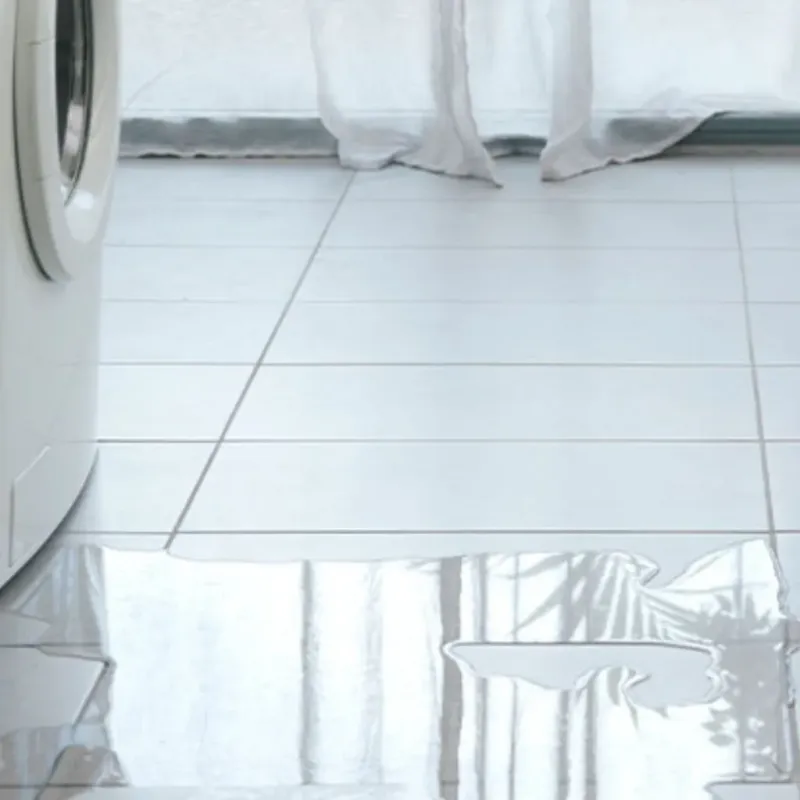 Appliance Leak Cleanup in New Berlin, IL