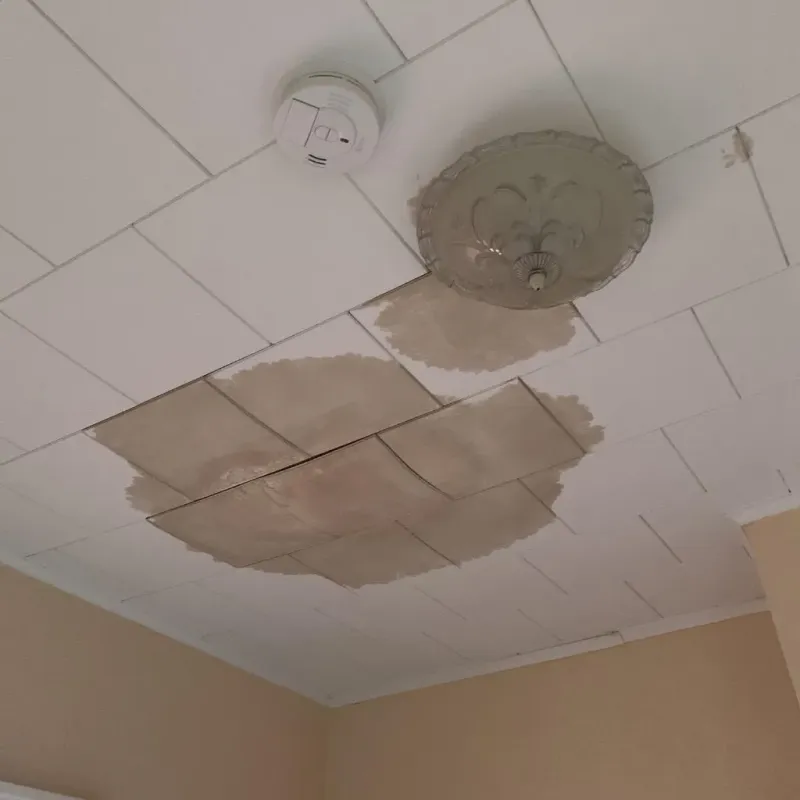 Ceiling Water Damage Repair in New Berlin, IL