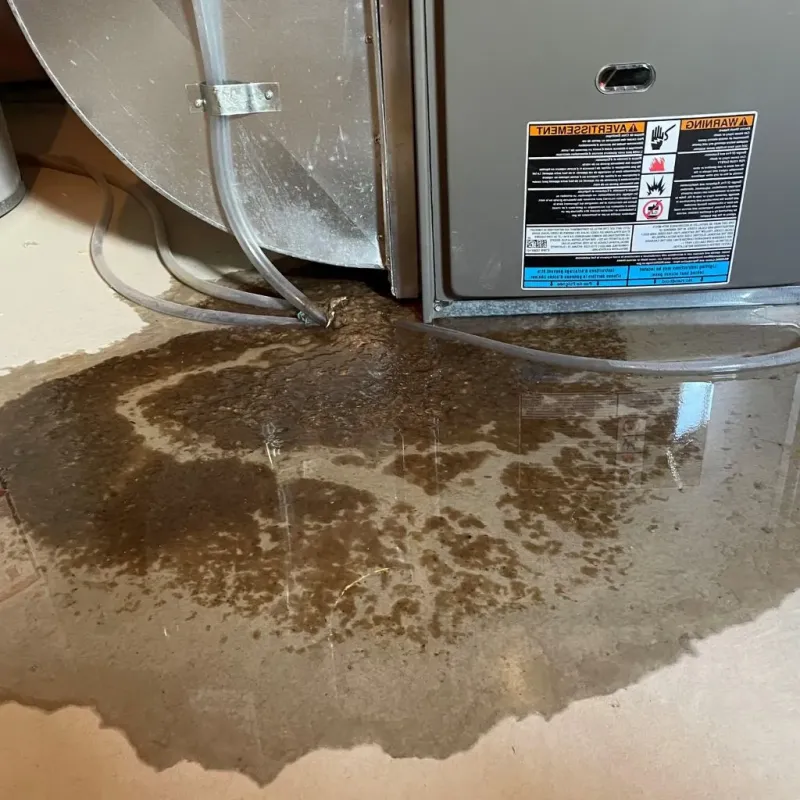 Pipe Burst and Leak Restoration in New Berlin, IL